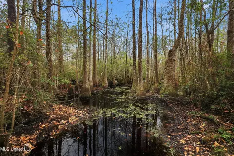 Saracennia Road, Moss Point, MS 39562 photo 32