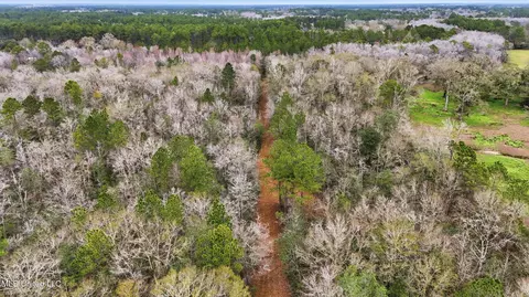 Saracennia Road, Moss Point, MS 39562 photo 20