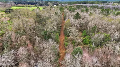 Saracennia Road, Moss Point, MS 39562 photo 13