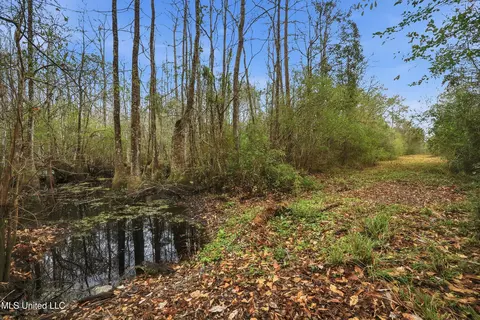 Saracennia Road, Moss Point, MS 39562 photo 33