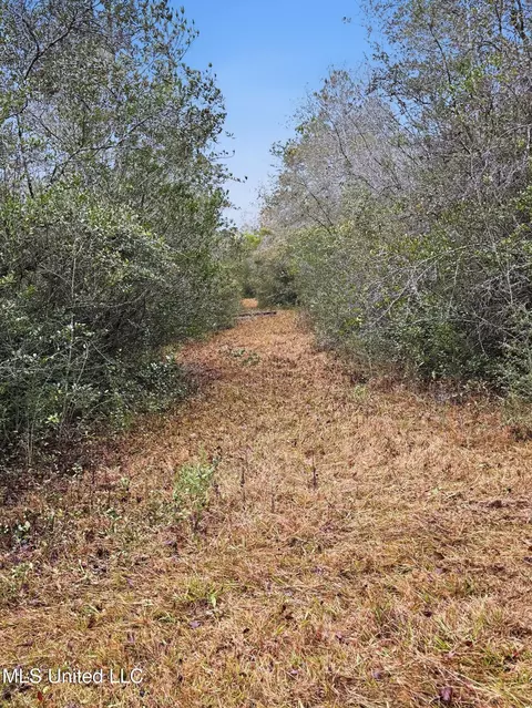 Saracennia Road, Moss Point, MS 39562 photo 26
