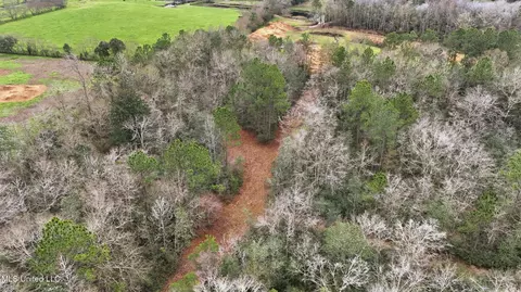 Saracennia Road, Moss Point, MS 39562 photo 16