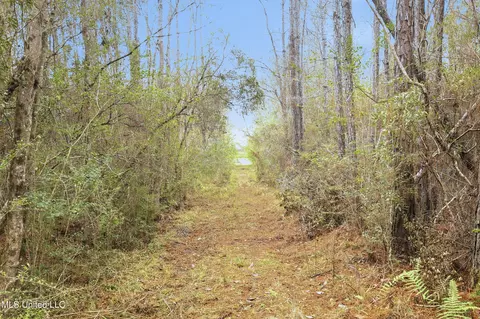 Saracennia Road, Moss Point, MS 39562 photo 28