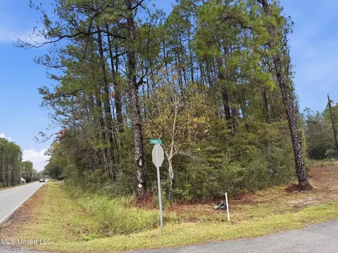 Saracennia Road, Moss Point, MS 39562 photo 37