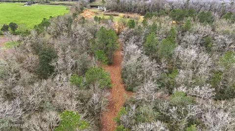 Saracennia Road, Moss Point, MS 39562 photo 17