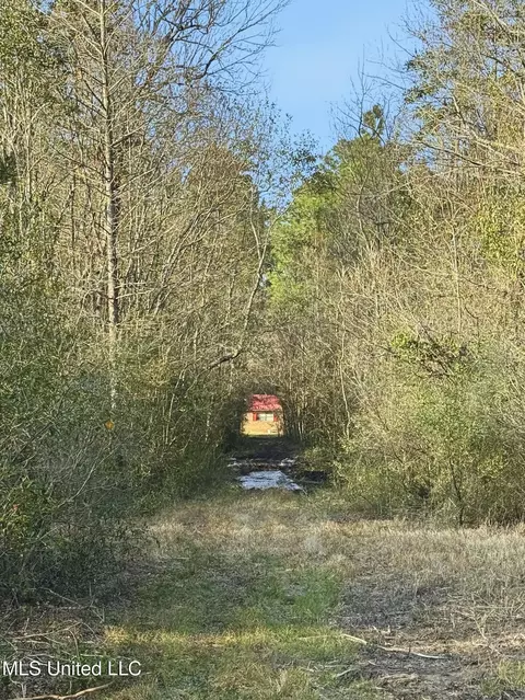 Saracennia Road, Moss Point, MS 39562 photo 27