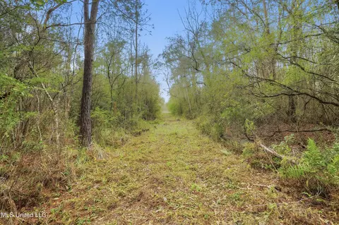Saracennia Road, Moss Point, MS 39562 photo 30