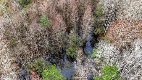 Saracennia Road, Moss Point, MS 39562 photo 23