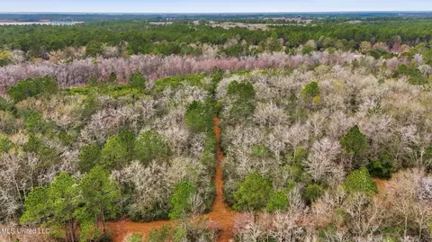 Saracennia Road, Moss Point, MS 39562 photo 19