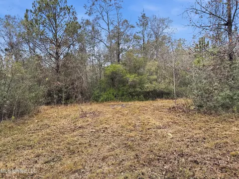 Saracennia Road, Moss Point, MS 39562 photo 38