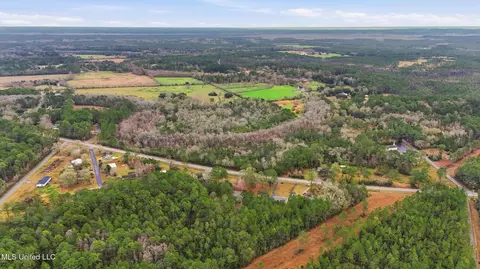 Saracennia Road, Moss Point, MS 39562 photo 7