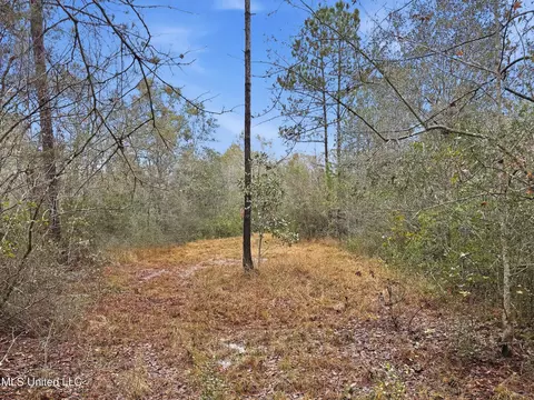 Saracennia Road, Moss Point, MS 39562 photo 29