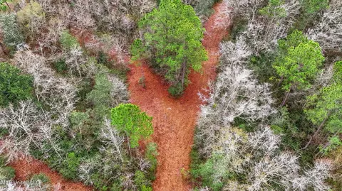 Saracennia Road, Moss Point, MS 39562 photo 15