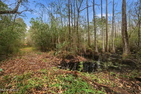 Saracennia Road, Moss Point, MS 39562 photo 34