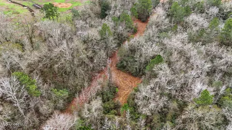 Saracennia Road, Moss Point, MS 39562 photo 14