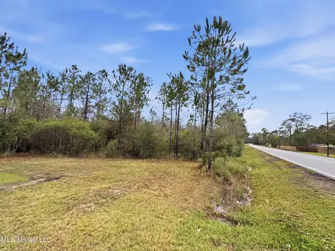 Saracennia Road, Moss Point, MS 39562 photo 39