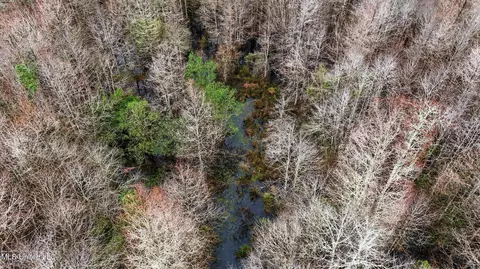 Saracennia Road, Moss Point, MS 39562 photo 22