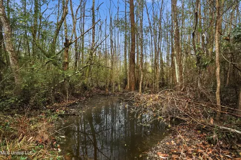 Saracennia Road, Moss Point, MS 39562 photo 31