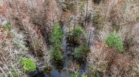 Saracennia Road, Moss Point, MS 39562 photo 24