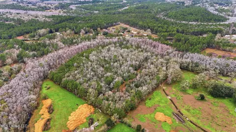 Saracennia Road, Moss Point, MS 39562 photo 3
