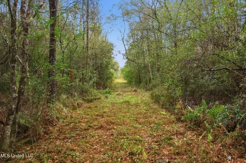Saracennia Road, Moss Point, MS 39562 photo 36