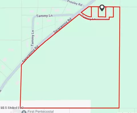 Saracennia Road, Moss Point, MS 39562 photo 40