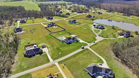 View/Area - 111 Pecan Rdg, Brandon, MS 39047 photo 5 of 22