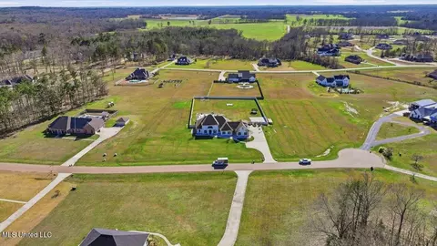 View/Area - 111 Pecan Rdg, Brandon, MS 39047 photo 10 of 22