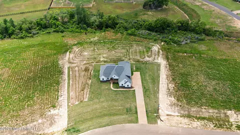 View/Area - 2195 Breanna Ln, Hernando, MS 38632 photo 1 of 2