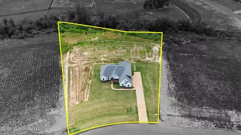 View/Area - 2195 Breanna Ln, Hernando, MS 38632 photo 2 of 2