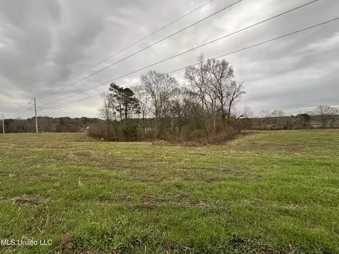 0 Lower Myrick Rd, Laurel, MS 39443 photo 16