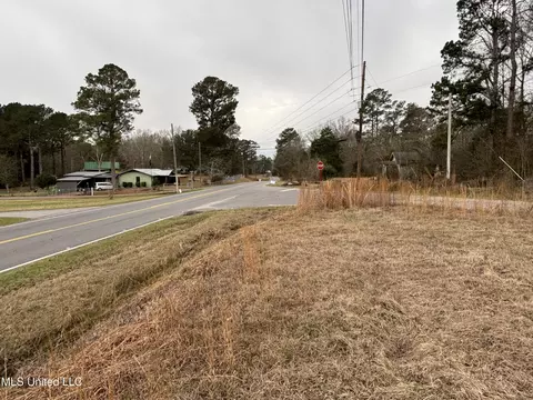 0 Lower Myrick Rd, Laurel, MS 39443 photo 4