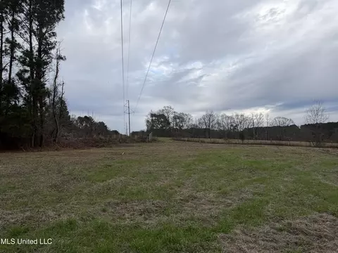 0 Lower Myrick Rd, Laurel, MS 39443 photo 6