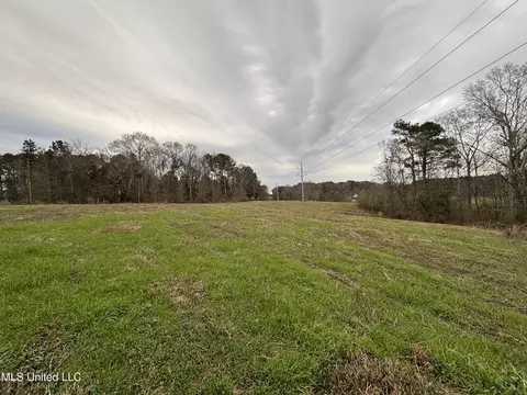 0 Lower Myrick Rd, Laurel, MS 39443 photo 14