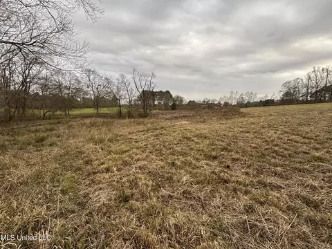 0 Lower Myrick Rd, Laurel, MS 39443 photo 18