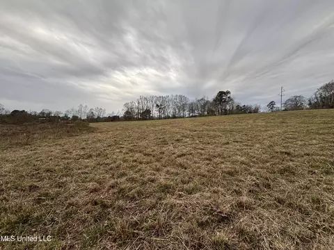 0 Lower Myrick Rd, Laurel, MS 39443 photo 20