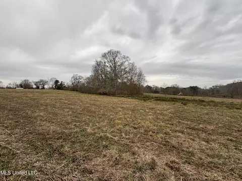 0 Lower Myrick Rd, Laurel, MS 39443 photo 12
