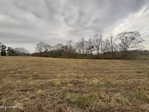 0 Lower Myrick Rd, Laurel, MS 39443 photo 11