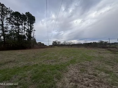 0 Lower Myrick Rd, Laurel, MS 39443 photo 5