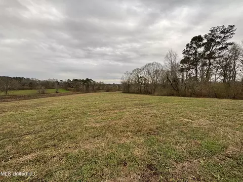 0 Lower Myrick Rd, Laurel, MS 39443 photo 15
