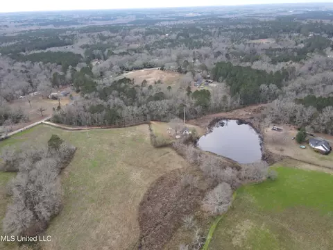 0 Lower Myrick Rd, Laurel, MS 39443 photo 25
