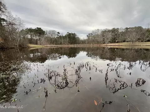 0 Lower Myrick Rd, Laurel, MS 39443