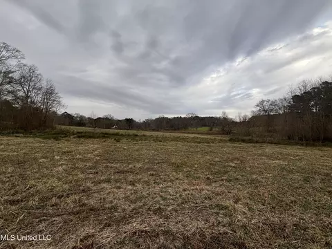 0 Lower Myrick Rd, Laurel, MS 39443 photo 10