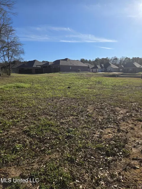 5906 Terry Rd, Jackson, MS 39272 photo 2