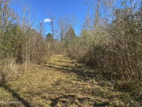 2346 Busy Corner Rd, Gloster, MS 39638 photo 14