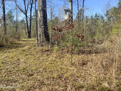 2346 Busy Corner Rd, Gloster, MS 39638 photo 15