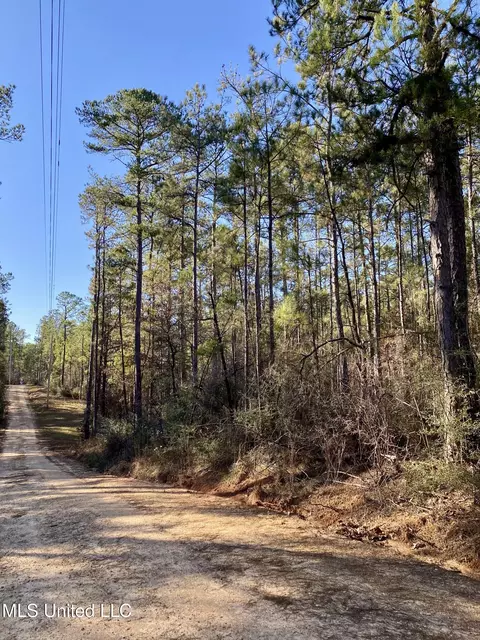 18 Eagle Dr, Carriere, MS 39426 photo 39