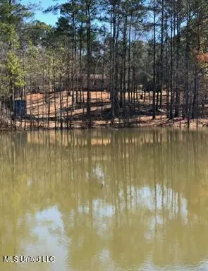 18 Eagle Dr, Carriere, MS 39426 photo 51