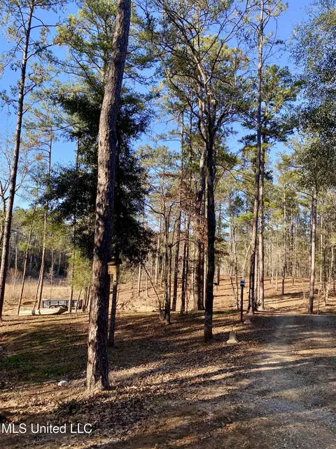18 Eagle Dr, Carriere, MS 39426 photo 44