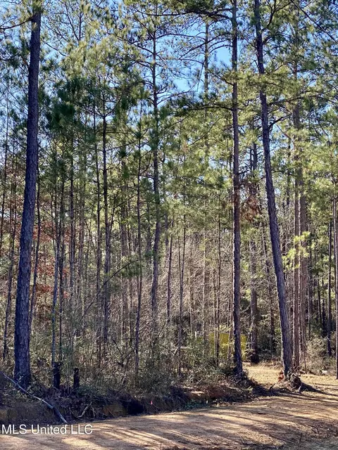 18 Eagle Dr, Carriere, MS 39426 photo 37
